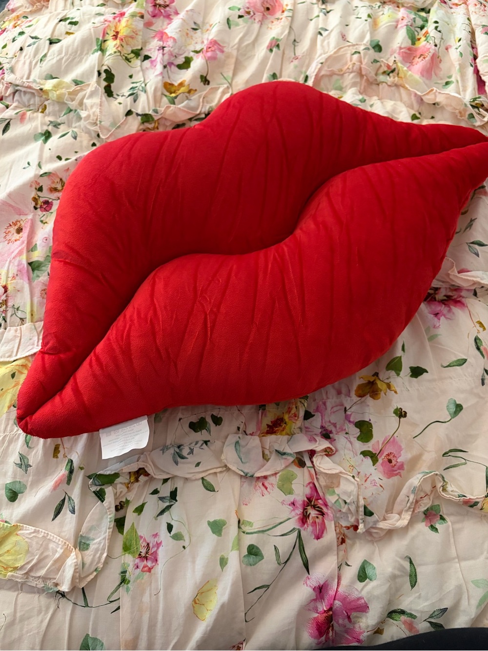 Red Lips Pillow Accent Cushion